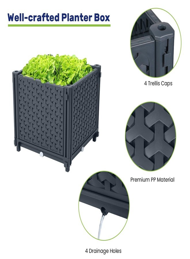 لينيكس صندوق زراعة مرتفع من LINEX مع تعريشة، أحواض زراعة طماطم بطول 41.3 بوصة للنباتات المتسلقة والخضراوات والزهور والفناء الخارجي، قفص طماطم مع نظام ري ذاتي - Image 3